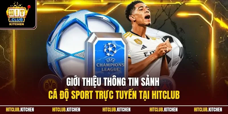 Cá Cược Thể Thao Hitclub| Sảnh Giải Trí Online Top Đầu 2025 Giới thiệu thông tin sảnh cá độ Sport trực tuyến tại Hitclub